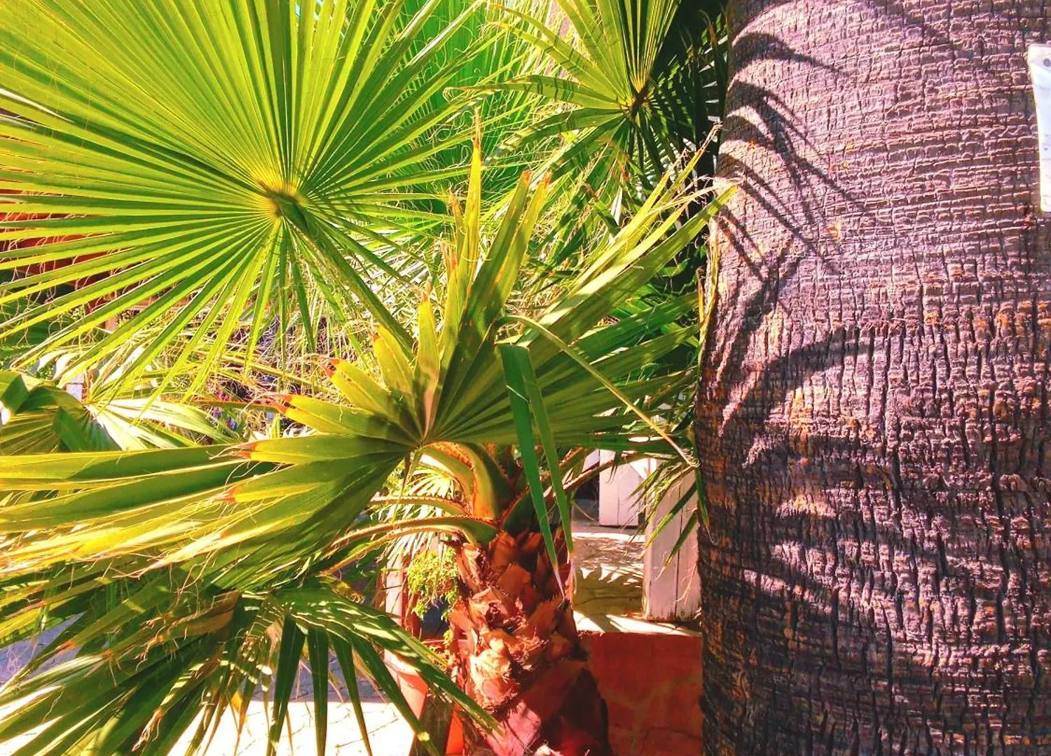 בית נופש Les 3 Aigles Maison Avec Piscine Privee ספרד