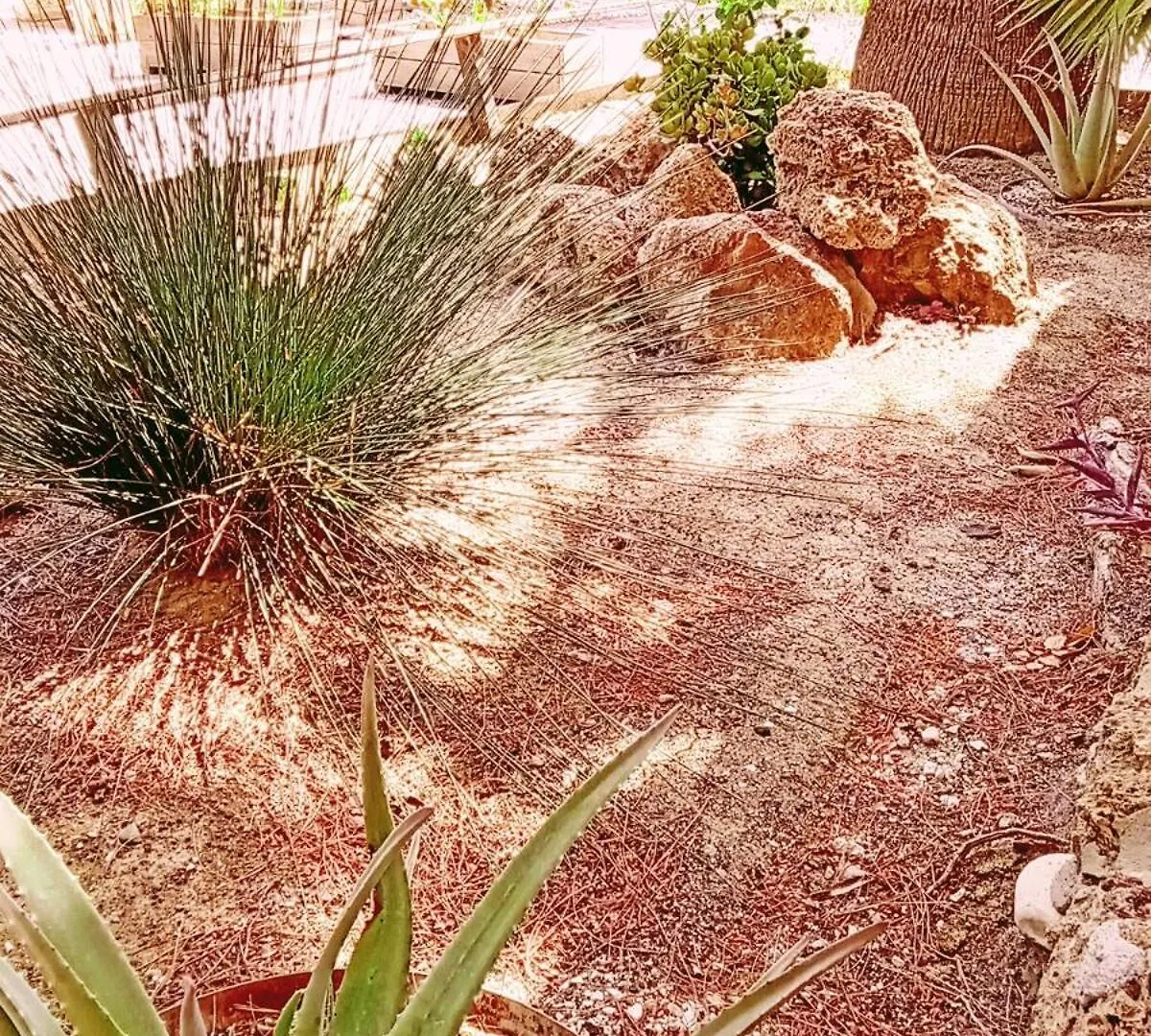 Les 3 Aigles Maison Avec Piscine Privee Holiday home